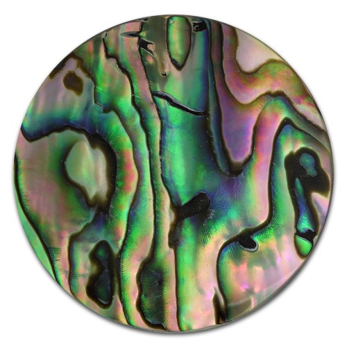 Amello Coin Muschel Schimmer für Coinsfassung Edelstahlschmuck ESC704F